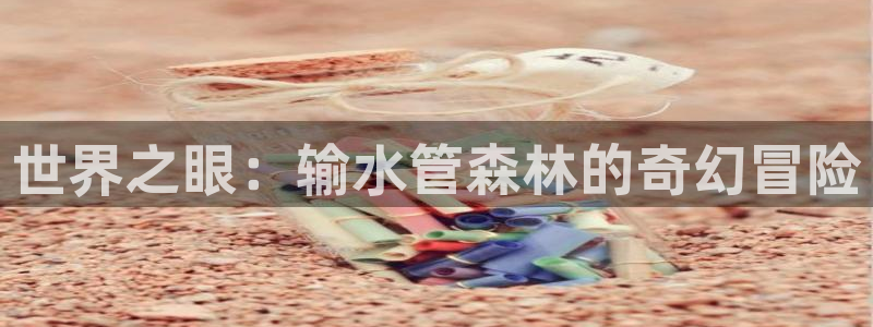 威九国际网站客服电话多少号