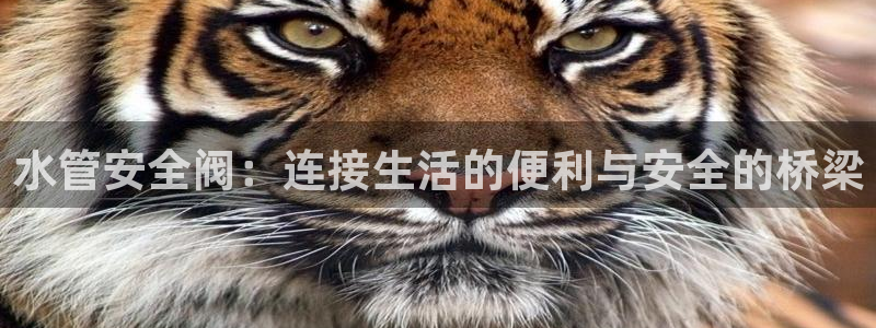 威九国际网站进入产品分类