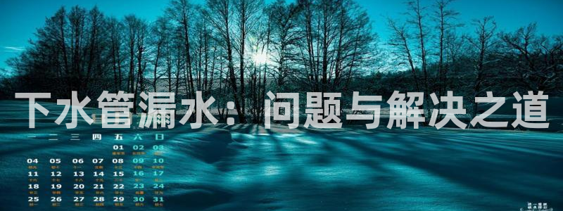 威九国际女艺人