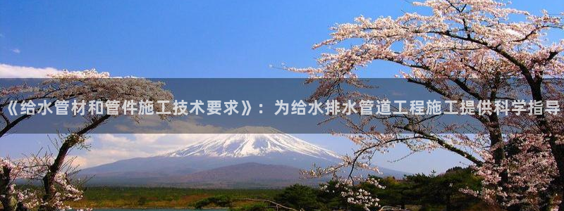 威九国际小广告