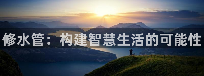 威九国际网站入口官网免费下载