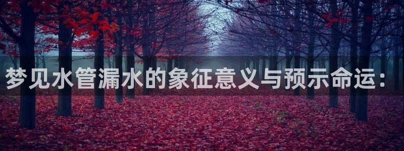 威九国际的女主