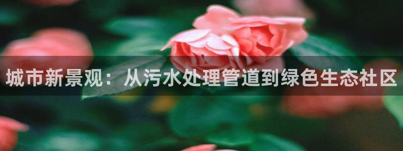 威九国际66m免费版