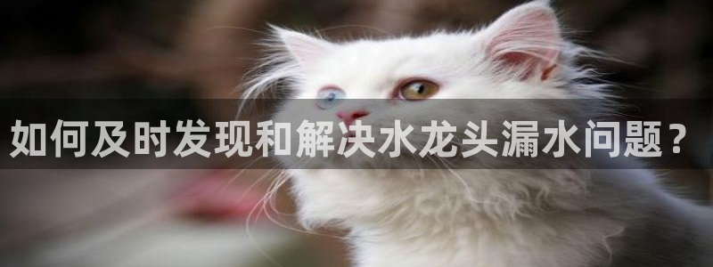 威九国际网站进入AB,AB