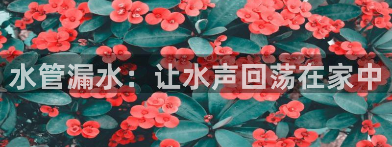 威九国际78m78下载