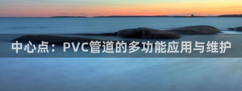 威九国际网站下载