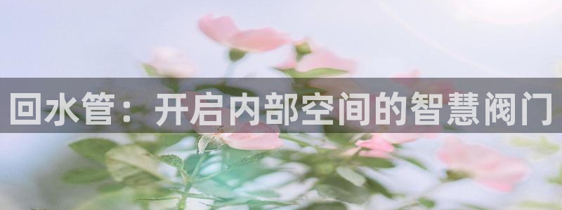 威九国际app下载