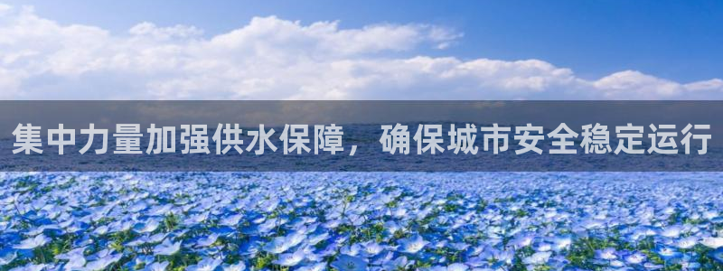 威九国际官网登录入口网址