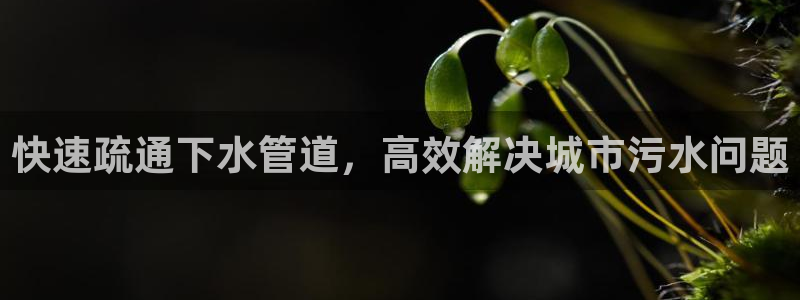 威九国际可以赚到钱