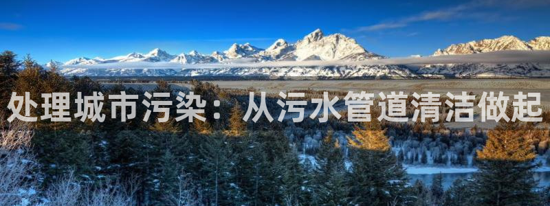 威九国际女艺人