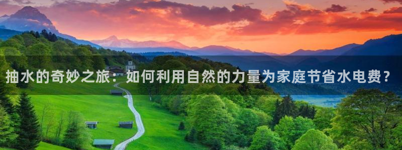 威九国际合作伙伴有哪些