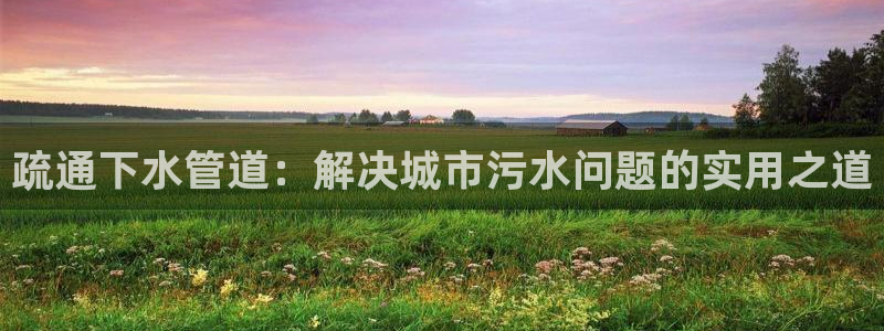 威九国际女主名字