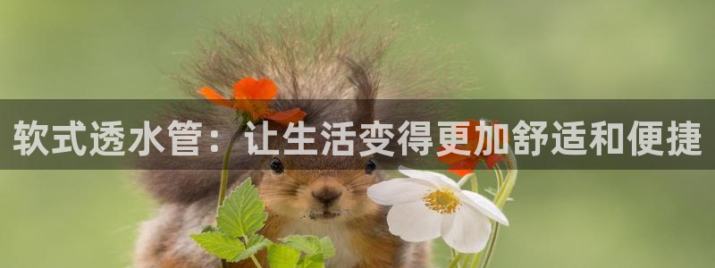 威九国际78m小说