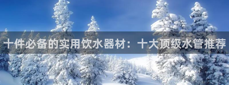 威九国际网站下载