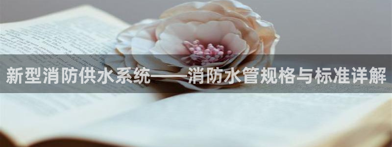 威九国际安全吗