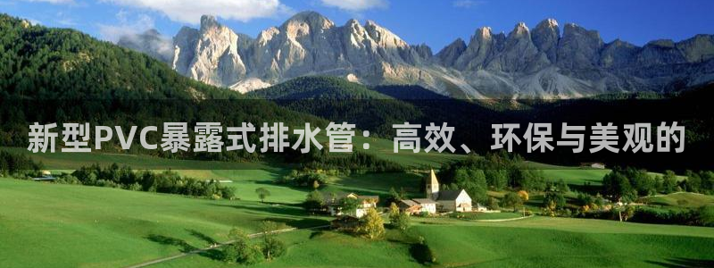 威九国际网站客服电话多少号码