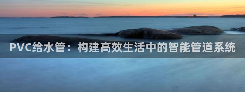 威九国际女艺人