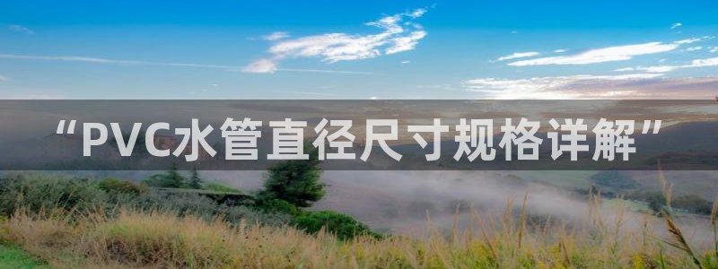 威九国际电影HD