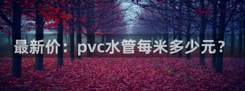 威九国际网站进入客服中心