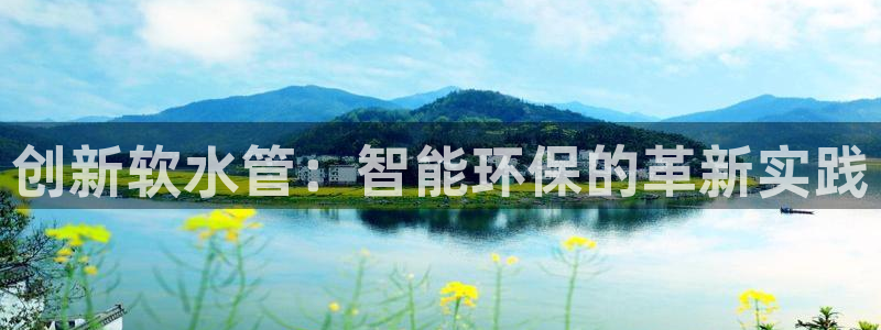 威九国际app无法登陆怎么回事