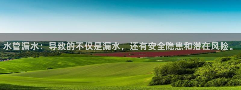 威九国际APP入口