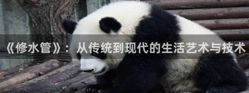 78mapp威九国际官网版