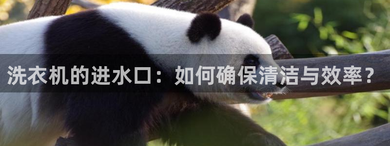 威九国际能提现吗现在