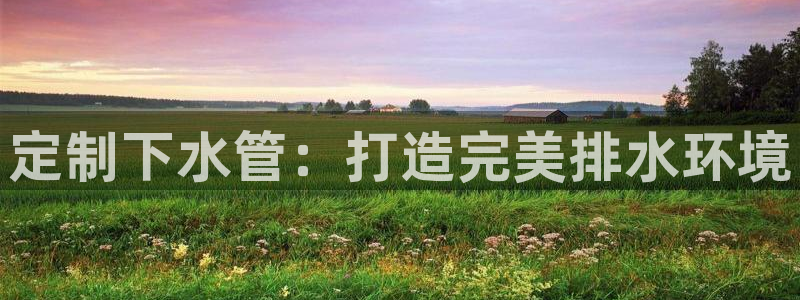 威九国际网站是多少