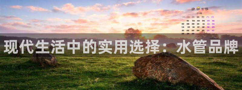 威九国际空降服务女演员叫什么名字