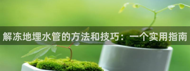 威九国际游戏app网址