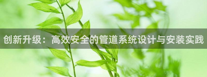 威九国际78mb官网版