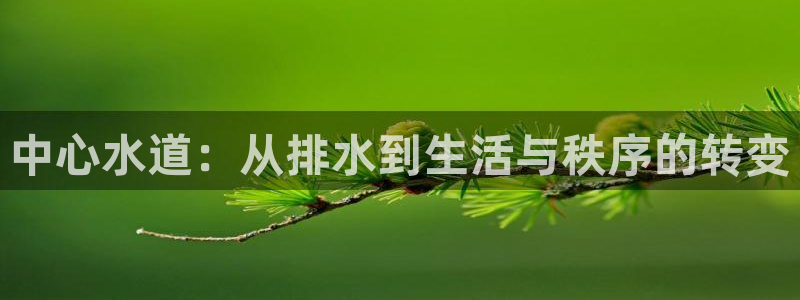 威九国际空降服务怎么样